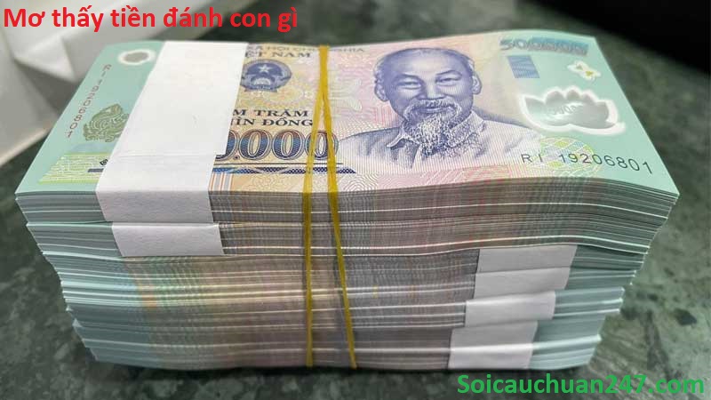 Mơ thấy tiền đánh con gì