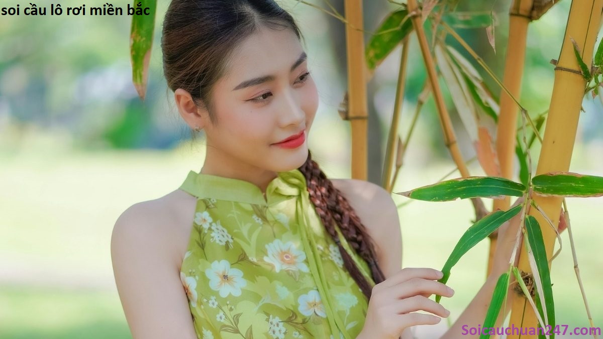 Soi cầu lô rơi miền bắc